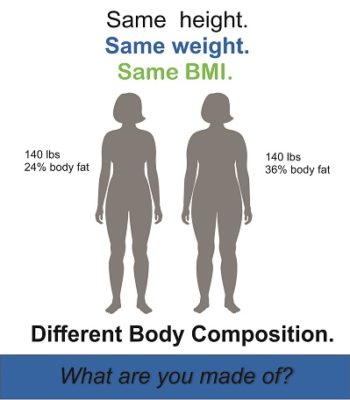Focus on Your Body Composition not Your Body Weight body composition analysis comparison 350x400