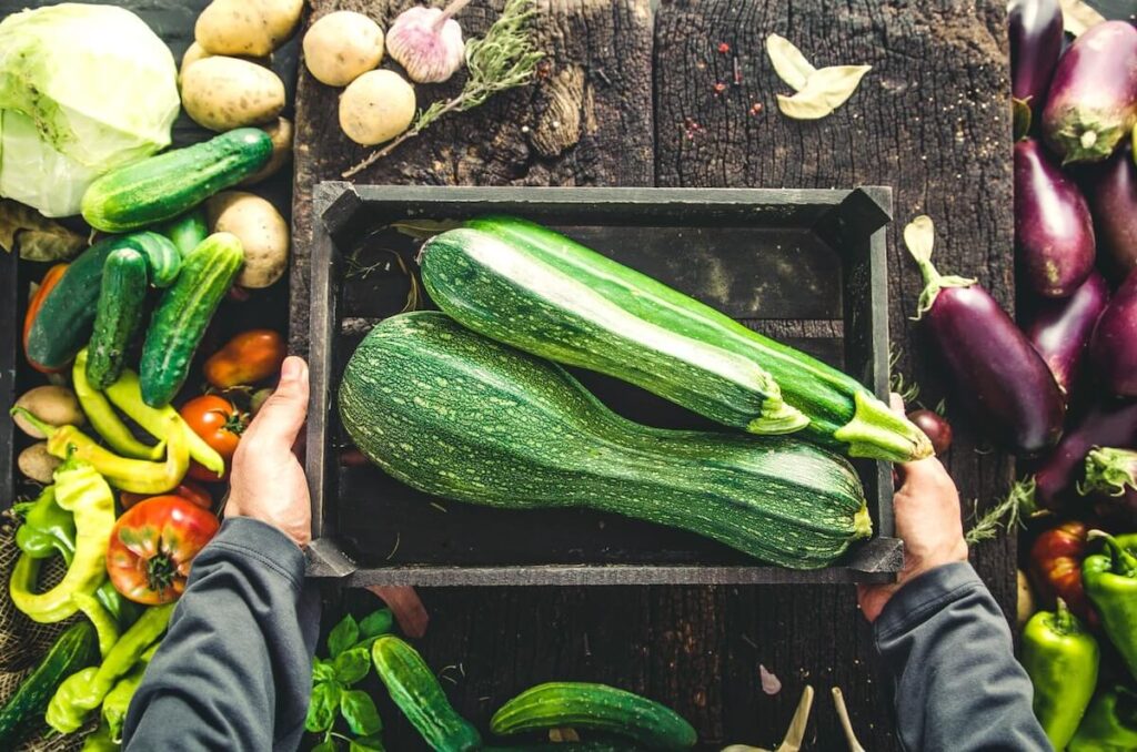 Health Benefits of Zucchini zucchini health benefits
